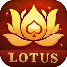 rubel teen patti rummy download